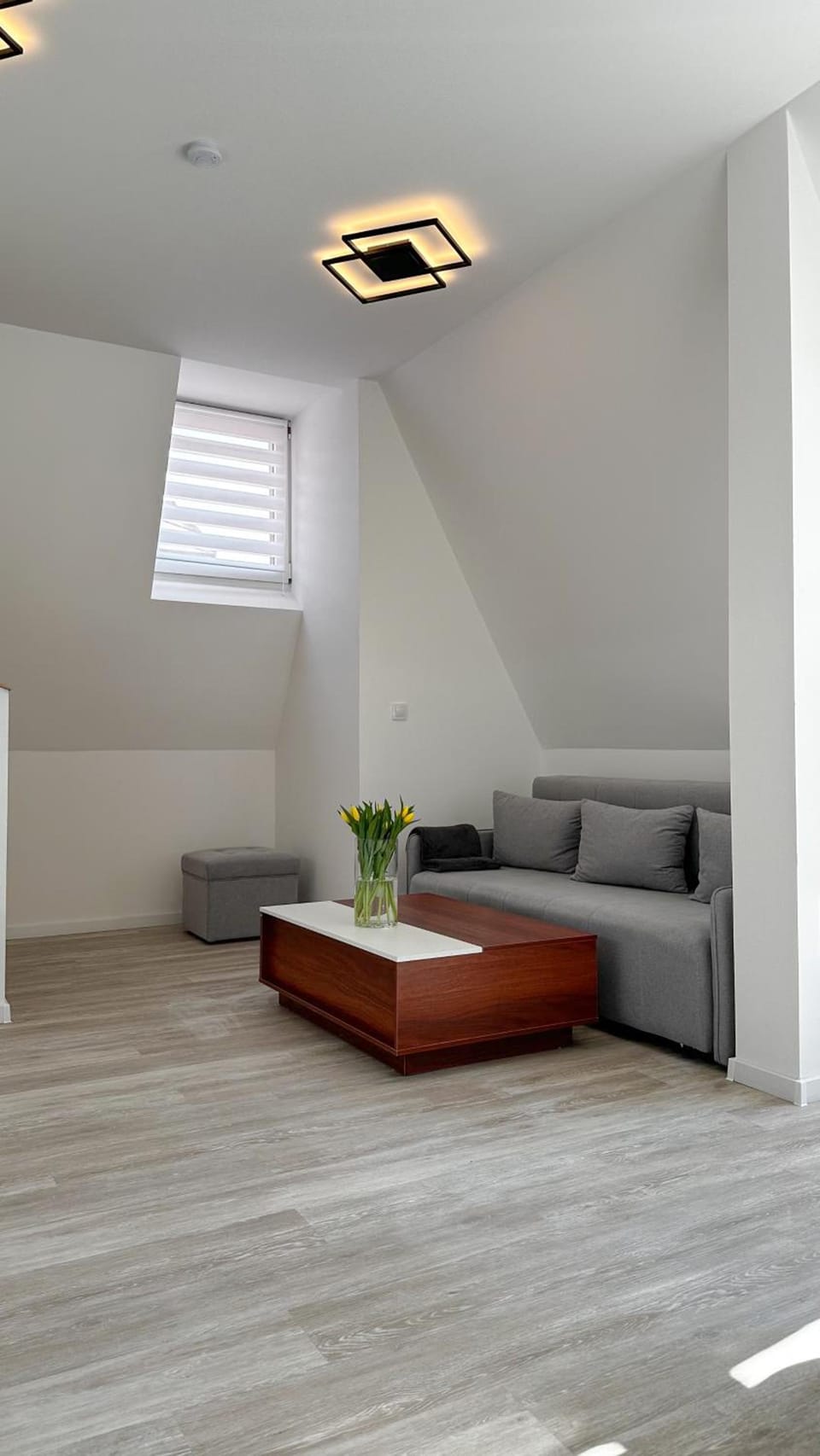 Villa Leopold - Apartment Building Apartment hotel in Czechia