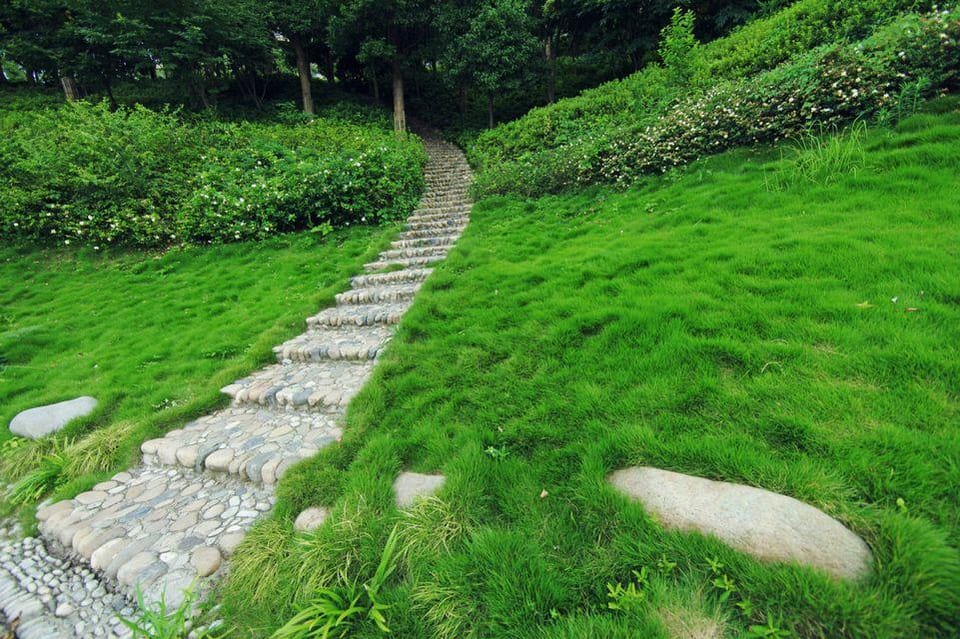 Qiandao Lake Nice Hotel and Resort Hotel in Hangzhou