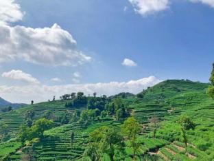 Duoyi French Villa (Xihu Scenic Area) Hotel in Hangzhou