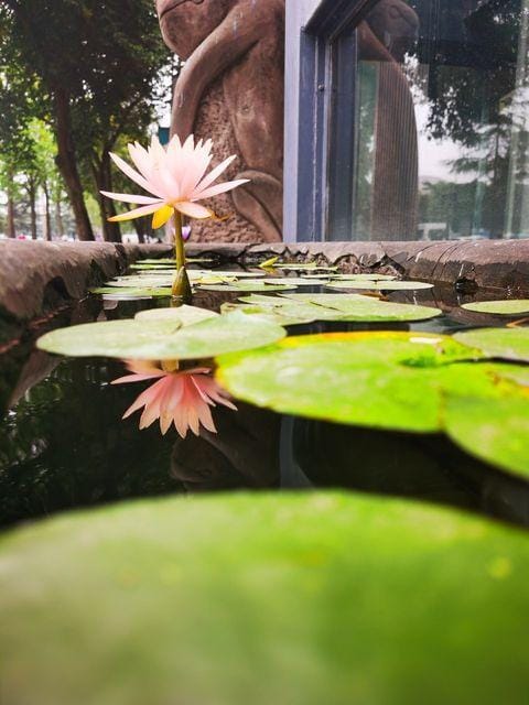 Zhengtong Apartment Hotel in Chengdu