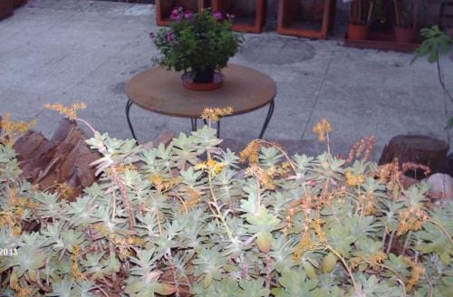 Hotel Triana e Tyche Hotel in Emilia-Romagna