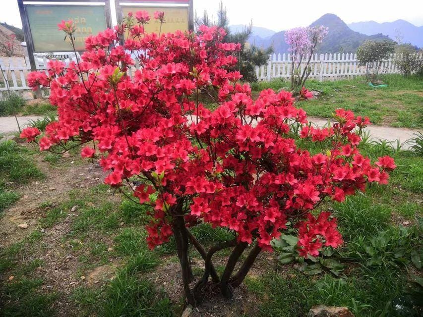 Agui Farmhouse Hotel in Hangzhou