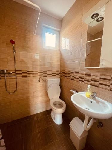 Vila Biser Hotel in Vojvodina