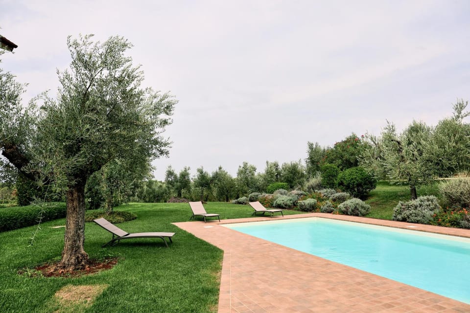 Il Casale degli Ulivi - Agriturismo - TENIMENTI LEONE Hotel in Lazio