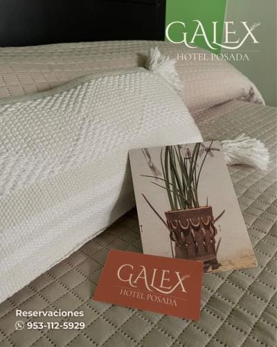 Galex Hotel Posada Hotel in State of Oaxaca