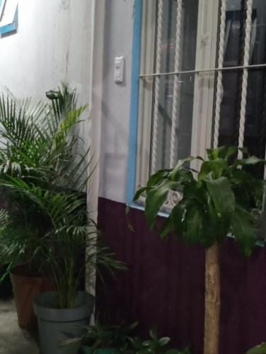 Servicios de Hospedaje Hotel in Orizaba