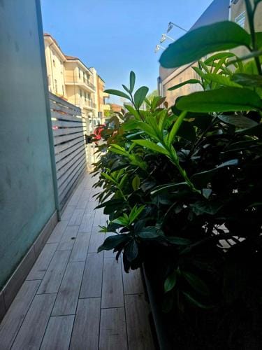 Luna City Hotel in Ravenna