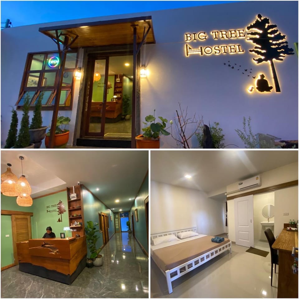 Big Tree Hostel Khaoyai Hotel in Laos