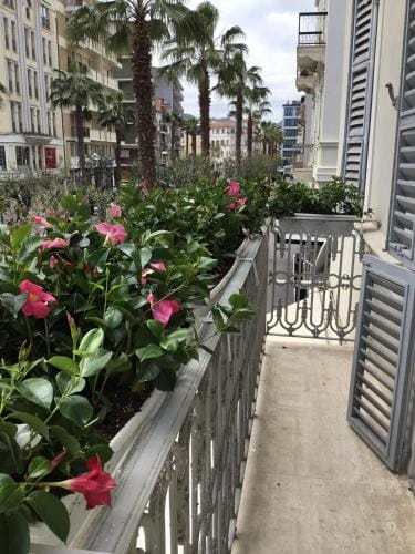 Palazzo dei Grifoni - Luxury Suites - Hotel in San Benedetto del Tronto