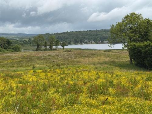 Rusty Cottage with View Hotel in Leitrim, Co. Leitrim, Ireland