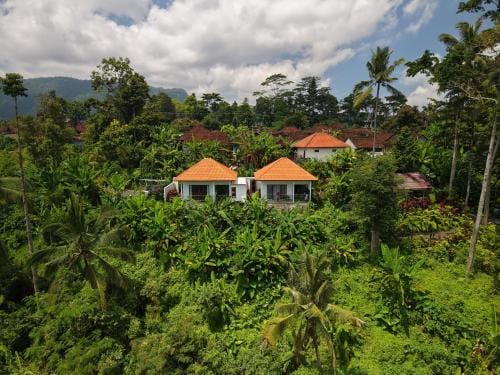 Sidemen padi villas Hotel in Sidemen