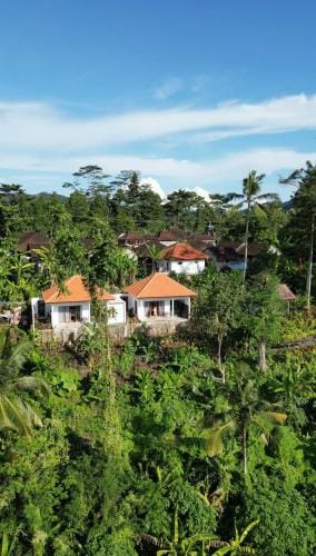 Sidemen padi villas Hotel in Sidemen