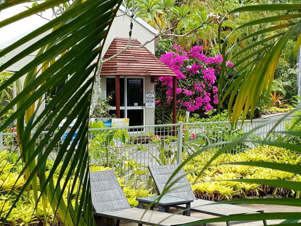 At the Mango Tree Apartments Apartment hotel in Port Douglas