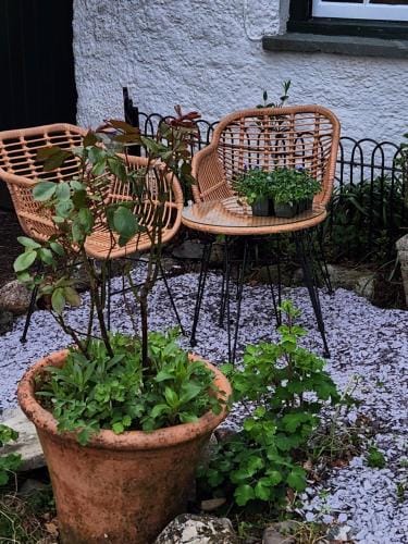 Blea Tarn Farmhouse B&B Hotel in England