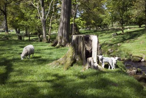Sandhills Farm Hotel in Allerdale District