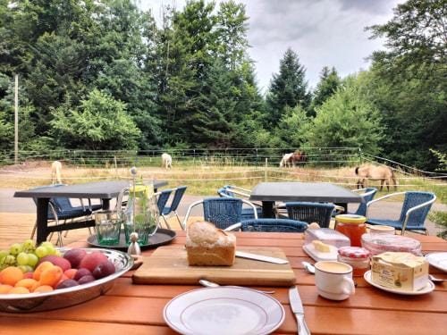 B&B Gite les Baudy Inn in Vosges