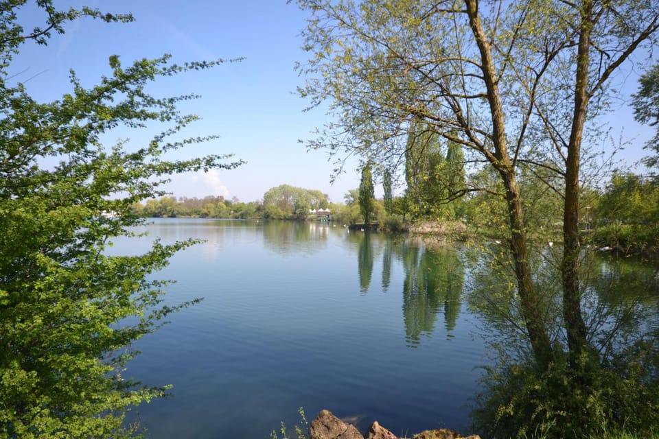 Surrounding environment