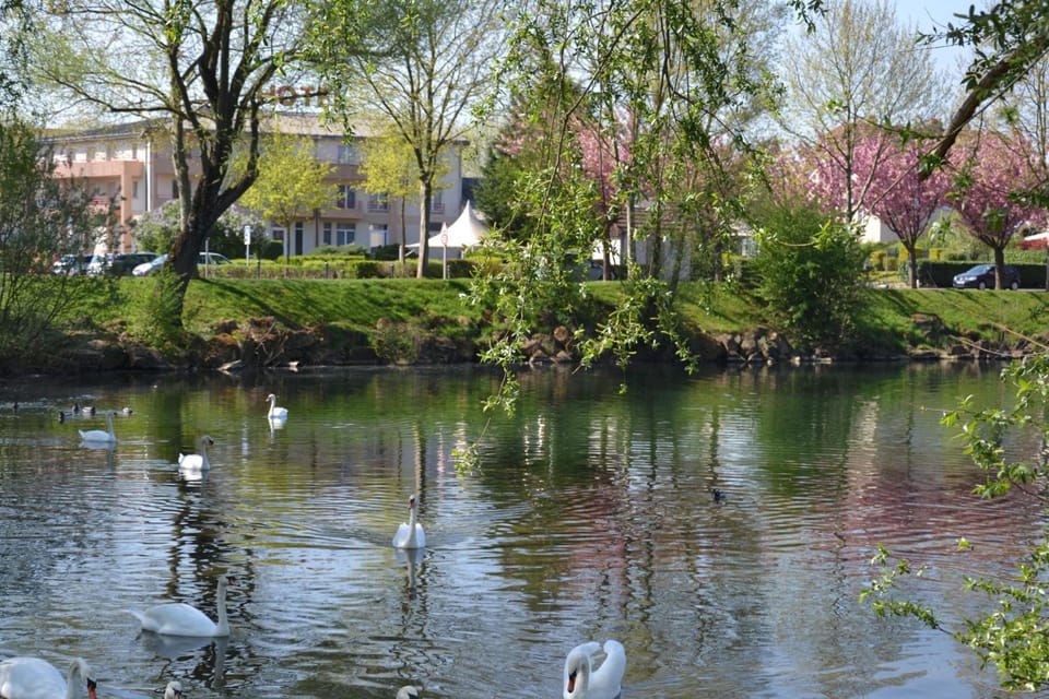 Surrounding environment