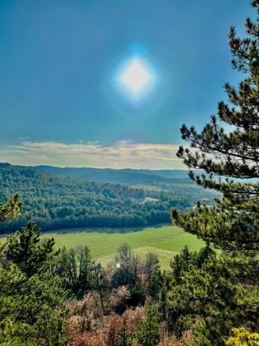 Chambre hotes avec vue panoramique sur la foret Hotel in Provence-Alpes-Côte d'Azur