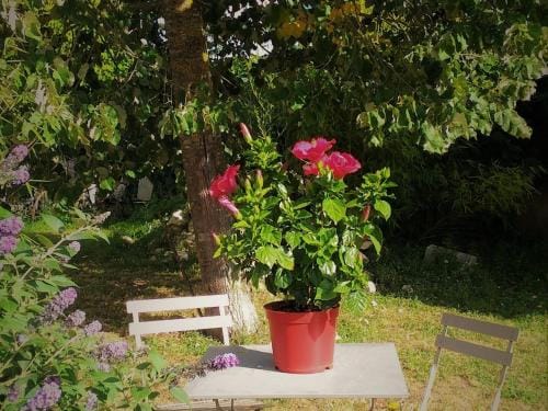 Chambre d'hotes pour 2 avec salle d'eau privative et petit-dejeuner inclus - FR-1-590-464 Hotel in Centre-Val de Loire