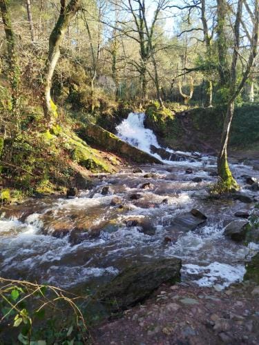 Les Colibris Hotel in Paimpont