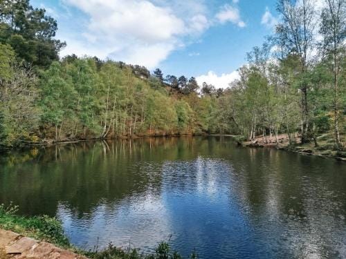 Les Colibris Hotel in Paimpont