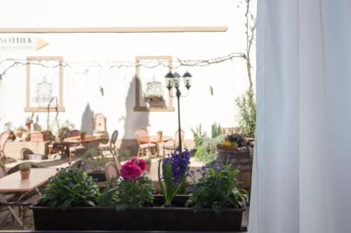 gants gemutlich im Weisenheimer Hof Inn in Rhineland-Palatinate