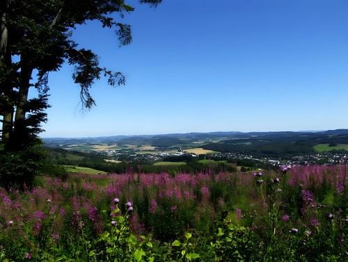 Apartment Neuenrade Hotel in Hesse