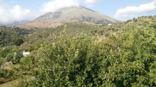 Filoxenia Rooms Hotel in Evros, Greece