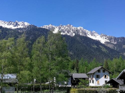 Le Chamoniard Volant Hostel in Chamonix