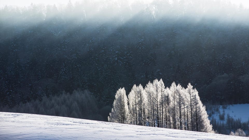 Furano no Oka Hotel in Hokkaido Prefecture
