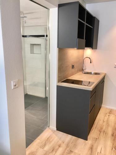 Business Apartments Reichenburg Hotel in Canton of Zurich