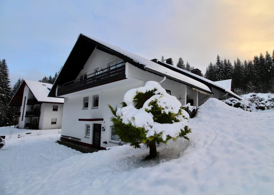Ferienhaus Frei 1 Hinterzarten Hotel in Hinterzarten