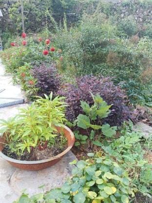 Hangzhou Qingyuan Farmhouse Hotel in Hangzhou