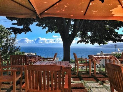 Capri Wine Hotel Hotel in Marina Grande
