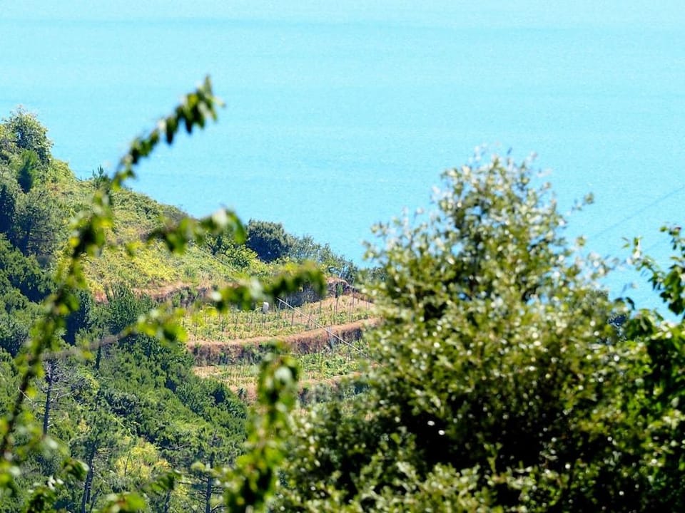 Specciu Cozy Apartment Hotel in Vernazza
