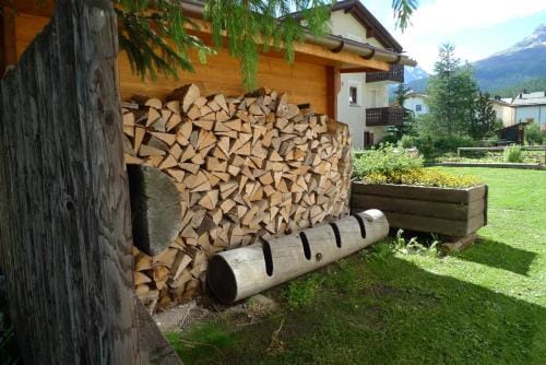 Hotel Saluver Hotel in Samedan