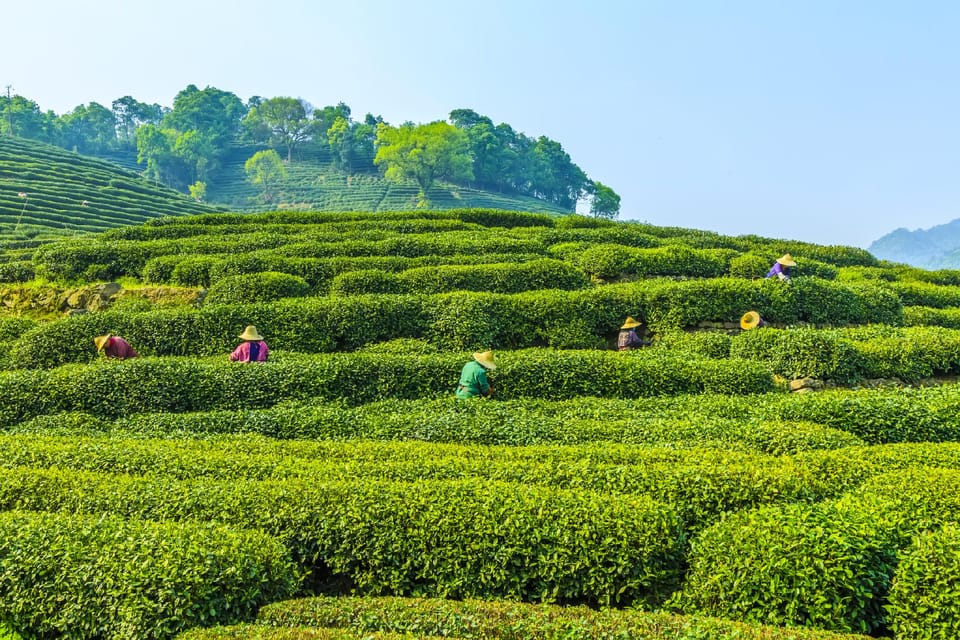 the One Inn Hotel in Hangzhou