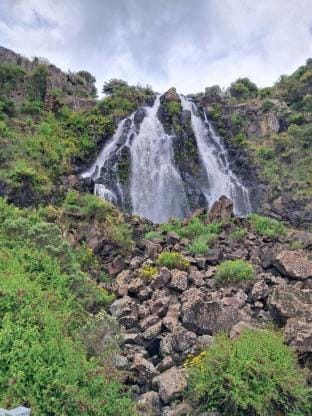Waratah Waterfall Retreat Unit 3 Free Pay TV  WiFi Hotel in Tasmania