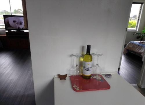 Waratah Waterfall Retreat Unit 3 Free Pay TV  WiFi Hotel in Tasmania
