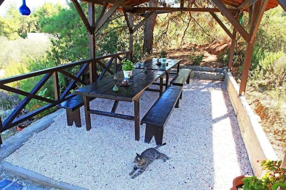 Dionysos Apartments Hotel in Halkidiki