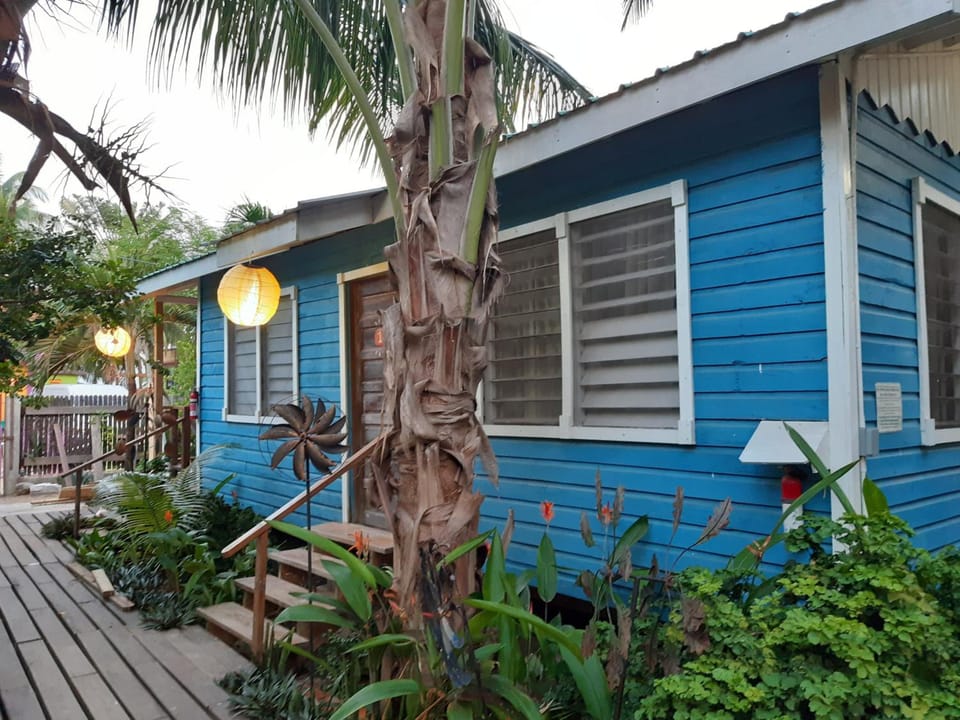 The Funky Dodo Backpackers Hostel Hostel in Hopkins