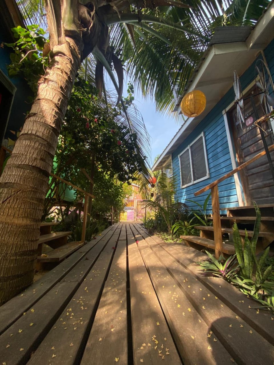 The Funky Dodo Backpackers Hostel Hostel in Hopkins