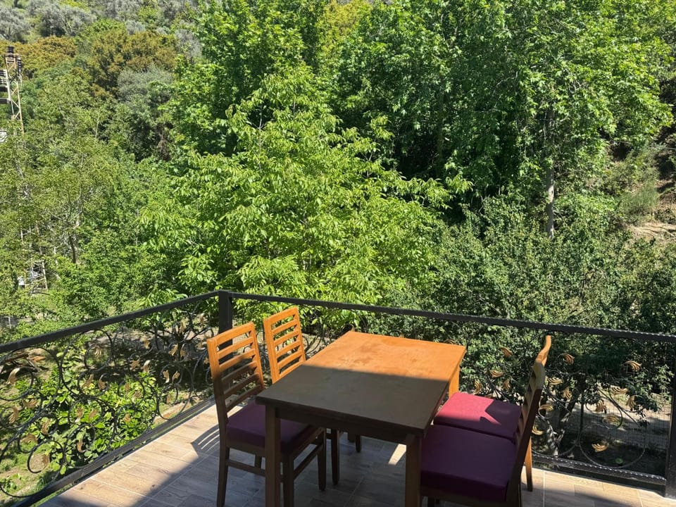 Ahsen pansiyon Hotel in Aydın Province