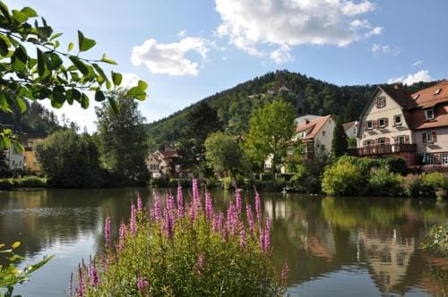 Gasthof L'italiano Vero Inn in Baden-Württemberg