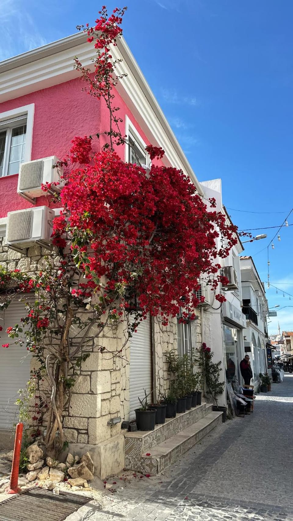 Viyana Pansiyon Hotel in Cesme