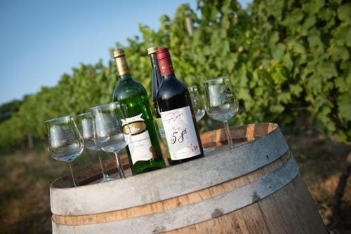 Weinschloßchen im Weingut Roos Hotel in Rhineland-Palatinate