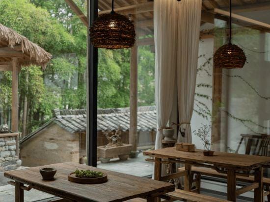 Staying in the Wilderness | Quietly Amidst the Trees and Trees | A Tea in Idle Time at Staycation Hotel in Hangzhou
