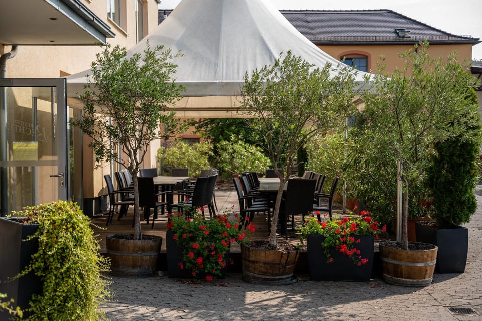 Hotel am Schlosspark Hotel in Worms