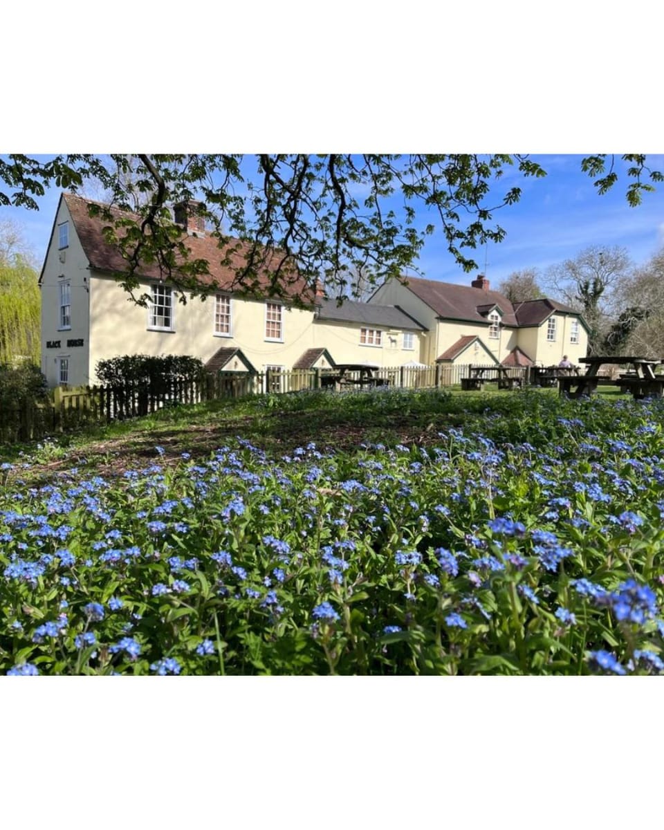 The Black Horse - Brent Pelham, Buntingford Inn in East Hertfordshire District